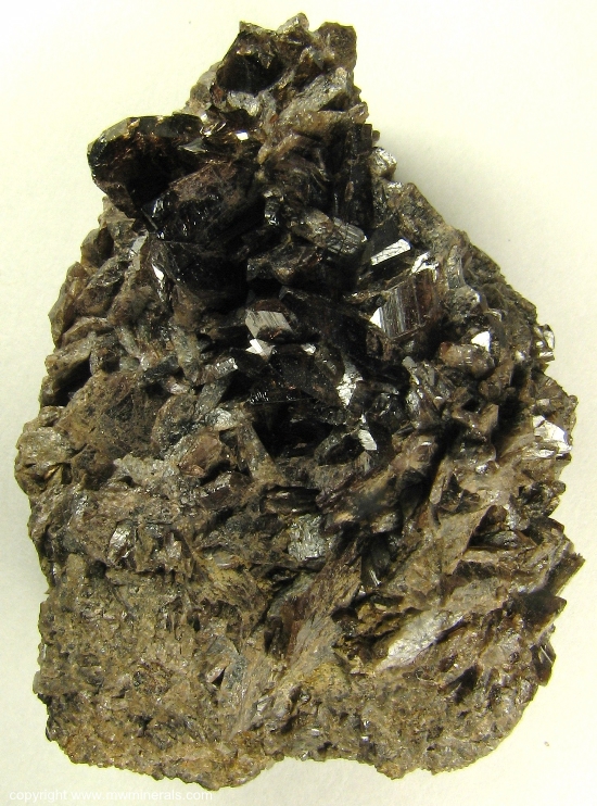 Mineral Specimen: Axinite-(Fe) from Stamps and Jowl Zawn (Roscommon Cliff), Trewellard, Botallack / Pendeen Area, St Just District, Cornwall, England