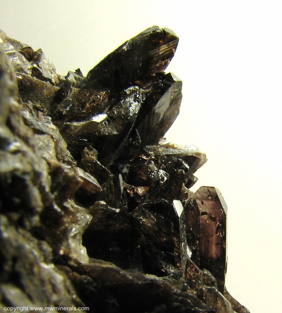 Mineral Specimen: Axinite-(Fe) from Stamps and Jowl Zawn (Roscommon Cliff), Trewellard, Botallack / Pendeen Area, St Just District, Cornwall, England