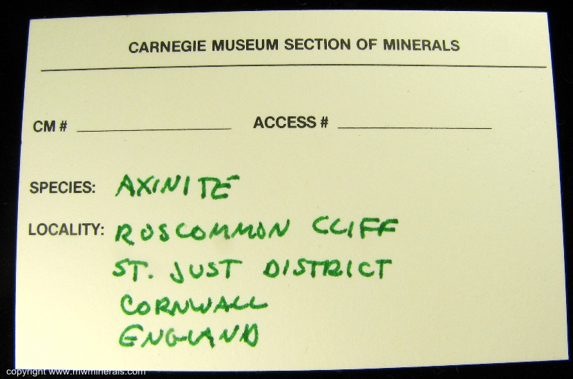 Mineral Specimen: Axinite-(Fe) from Stamps and Jowl Zawn (Roscommon Cliff), Trewellard, Botallack / Pendeen Area, St Just District, Cornwall, England
