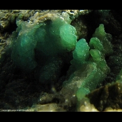 Minerals Specimen: Turquoise from Tier des Carrieres, Cahai, Vielsalm, Stavelot Massif, Luxembourg Province, Belgium Minerals Specimen: Turquoise from Tier des Carrieres, Cahai, Vielsalm, Stavelot Massif, Luxembourg Province, Belgium