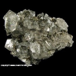 Mineral Specimen: Calcite and Marcasite from Linwood Quarry, Buffalo, Scott Co., Iowa, USA Mineral Specimen: Calcite and Marcasite from Linwood Quarry, Buffalo, Scott Co., Iowa, USA