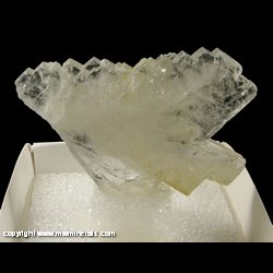 Minerals Specimen: Sawtooth Celestine from Tule Mine, Melchor Muzquiz, Mun. de Melchor Muzquiz, Coahuila, Mexico Minerals Specimen: Sawtooth Celestine from Tule Mine, Melchor Muzquiz, Mun. de Melchor Muzquiz, Coahuila, Mexico