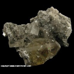 Minerals Specimen: Barite, Calcite from Linwood Quarry, Buffalo, Scott Co., Iowa Minerals Specimen: Barite, Calcite from Linwood Quarry, Buffalo, Scott Co., Iowa