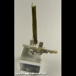 Mineral Specimen: Tourmaline from Pakistan Mineral Specimen: Tourmaline from Pakistan