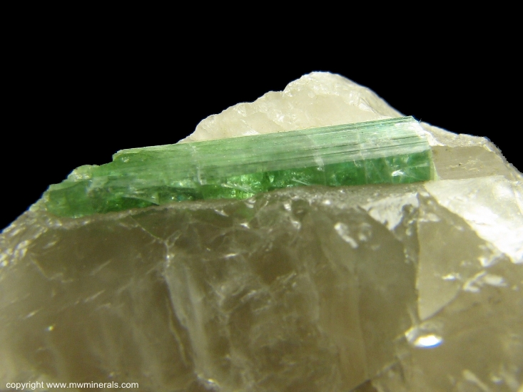 Mineral Specimen: Tourmaline in Quartz from Mt. Apatite District, Auburn, Androscoggin County, Maine, USA