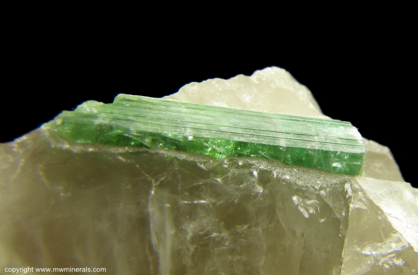 Mineral Specimen: Tourmaline in Quartz from Mt. Apatite District, Auburn, Androscoggin County, Maine, USA