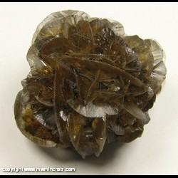 Minerals Specimen: Selenite from Colorado Springs, El Paso Co., Colorado Minerals Specimen: Selenite from Colorado Springs, El Paso Co., Colorado