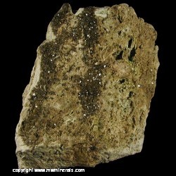 Mineral Specimen: Andradite from Alpine Mine (Porvenir Mine), Potosi District, Osgood Mts, Humboldt Co., Nevada Mineral Specimen: Andradite from Alpine Mine (Porvenir Mine), Potosi District, Osgood Mts, Humboldt Co., Nevada