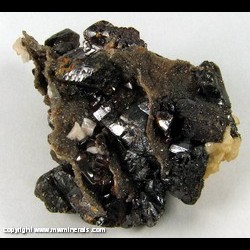 Mineral Specimen: Ruby Jack Sphalerite, Calcite, Dolomite, Chalcopyrite from Tri State District, Joplin, Missouri