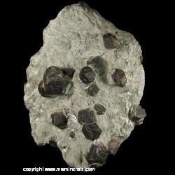 Mineral Specimen: Garnet in Schist from location unkown Mineral Specimen: Garnet in Schist from location unkown