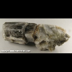 Mineral Specimen: Tremolite from Smoky Tremolite Occurrence, Monmouth Twp., Haliburton Co., Ontario, Canada