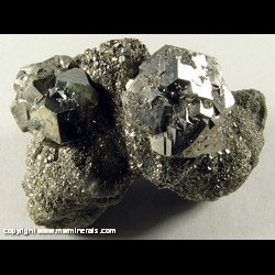 Mineral Specimen: Pyrite from Atlas Portland Cement Company Quarry, Hannibal, Ralls Co., Missouri