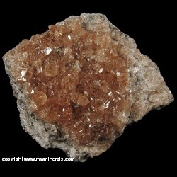 Mineral Specimen: Grossular Garnet variety Hessonite from Jeffrey Quarry, Asbestos, Les Sources RCM, Estrie, Quebec, Canada