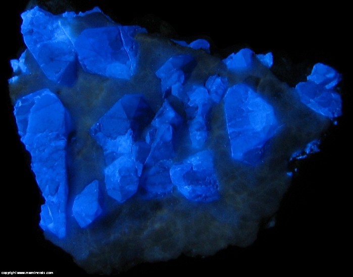 Fluorescent Mineral Specimen: Benitoite from Gem Mine, San Benito County, California, USA Fluorescent Mineral Specimen: Benitoite from Gem Mine, San Benito County, California, USA