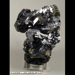 Mineral Specimen: Galena, Chalcopyrite from Bor Pit (Boron Pit), Dal'negorsk B deposit, Dal'negorsk, Primorskiy Kray, Far-Eastern Region, Russia Mineral Specimen: Galena, Chalcopyrite from Bor Pit (Boron Pit), Dal'negorsk B deposit, Dal'negorsk, Primorskiy Kray, Far-Eastern Region, Russia