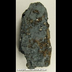 Minerals Specimen: Shigaite, Specular Hematite from Homer Mine, Homer-Wauseca Group, Mineral Hills, Menominee iron range, Iron Co., Michigan Minerals Specimen: Shigaite, Specular Hematite from Homer Mine, Homer-Wauseca Group, Mineral Hills, Menominee iron range, Iron Co., Michigan