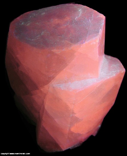Fluorescent Mineral Specimen: Calcite from Charcas, San Luis Potosi, Mexico Fluorescent Mineral Specimen: Calcite from Charcas, San Luis Potosi, Mexico