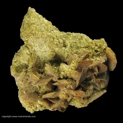 Minerals Specimen: Twinned Hydroxylherderite with Cookeite from Larva do Jaime, Monopolies, Di vino Dasi Larynges, Dice valley, Min as Georas, Brazil Minerals Specimen: Twinned Hydroxylherderite with Cookeite from Larva do Jaime, Monopolies, Di vino Dasi Larynges, Dice valley, Min as Georas, Brazil