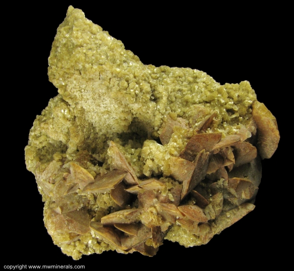Mineral Specimen: Twinned Hydroxylherderite with Cookeite from Larva do Jaime, Monopolies, Di vino Dasi Larynges, Dice valley, Min as Georas, Brazil