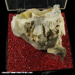 Mineral Specimen: Millerite on Chlacedony from Kaser Quarry, Ollie, Keokuk Co., Iowa Mineral Specimen: Millerite on Chlacedony from Kaser Quarry, Ollie, Keokuk Co., Iowa