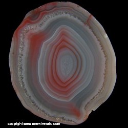 Mineral Specimen: Agate from Agate Creek, Etheridge Shire, Queensland, Australia Mineral Specimen: Agate from Agate Creek, Etheridge Shire, Queensland, Australia