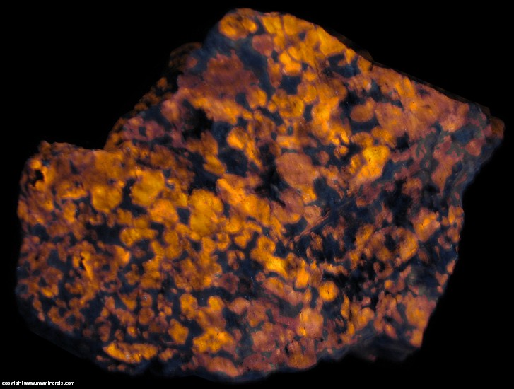 Fluorescent Mineral Specimen: Sodalite variety Hackmanite from Poudrette Quarry, Mont Saint-Hilaire, Rouville RCM, Monteregie, Quebec, Canada Fluorescent Mineral Specimen: Sodalite variety Hackmanite from Poudrette Quarry, Mont Saint-Hilaire, Rouville RCM, Monteregie, Quebec, Canada