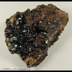 Mineral Specimen: Grossular Garnet, Clinchlore from Testa Ciarva, Mussa Alp, Balme, Ala Valley, Lanzo Valleys, Torino Province, Piedmont, Italy Mineral Specimen: Grossular Garnet, Clinchlore from Testa Ciarva, Mussa Alp, Balme, Ala Valley, Lanzo Valleys, Torino Province, Piedmont, Italy