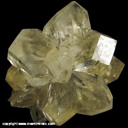Minerals Specimen: Selenite from Red River Floodway, Winnipeg, Manitoba, Canada Minerals Specimen: Selenite from Red River Floodway, Winnipeg, Manitoba, Canada