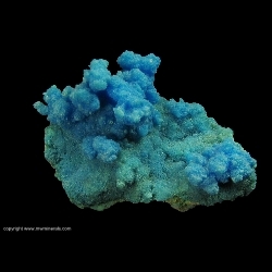 Minerals Specimen: Natural Chalcanthite from Majuba Hill Mine, Antelope District, Pershing County, Nevada, USA Minerals Specimen: Natural Chalcanthite from Majuba Hill Mine, Antelope District, Pershing County, Nevada, USA