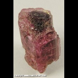 Mineral Specimen: Tourmaline from Morro Redondo, Coronel Murta, Minas Gerais, Brazil