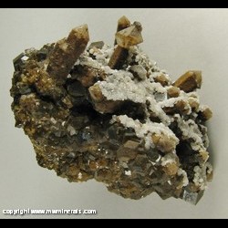 Mineral Specimen: Scepter Quartz, Andradite Garnet, Calcite from Bor Pit (Boron Pit), Dal'negorsk B deposit, Dal'negorsk, Primorskiy Kray, Far-Eastern Region, Russia Mineral Specimen: Scepter Quartz, Andradite Garnet, Calcite from Bor Pit (Boron Pit), Dal'negorsk B deposit, Dal'negorsk, Primorskiy Kray, Far-Eastern Region, Russia