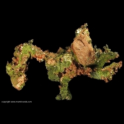 Minerals Specimen: Silver/Copper Halfbreed with Epidote from Calumet and Hecla Lode, Houghton County, Michigan, USA