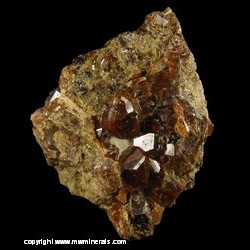 Mineral Specimen: Andradite Garnet from Tungsten Hills, Bishop Dist., Inyo Co., California Mineral Specimen: Andradite Garnet from Tungsten Hills, Bishop Dist., Inyo Co., California