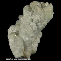 Minerals Specimen: Celestine and Calcite from Mojina Mine, Rancho de Mojina, Ricardo Flores Magon, Mun. de Buenaventura, Chihuahua, Mexico Minerals Specimen: Celestine and Calcite from Mojina Mine, Rancho de Mojina, Ricardo Flores Magon, Mun. de Buenaventura, Chihuahua, Mexico