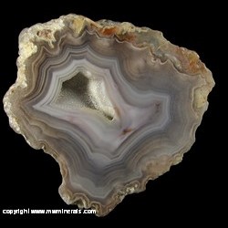 Mineral Specimen: Laguna Agate from Estacion Ojo Laguna, Chihuahua, Mexico Mineral Specimen: Laguna Agate from Estacion Ojo Laguna, Chihuahua, Mexico