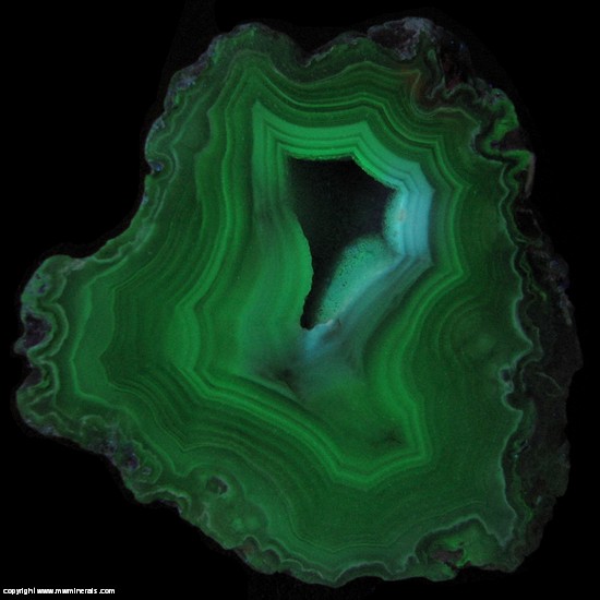 Fluorescent Mineral Specimen: Laguna Agate from Estacion Ojo Laguna, Chihuahua, Mexico Fluorescent Mineral Specimen: Laguna Agate from Estacion Ojo Laguna, Chihuahua, Mexico