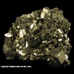 Minerals Specimen: Pyrite from Gilman, Colorado Minerals Specimen: Pyrite from Gilman, Colorado