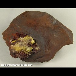 Mineral Specimen: Legrandite from Mina Ojuela, Mapimi, Durango, Mexico Mineral Specimen: Legrandite from Mina Ojuela, Mapimi, Durango, Mexico