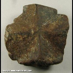 Minerals Specimen: Staurolite Twin variety Fairy Cross from Ruisseau de Kerbihan, Scaer, Finistere, Bretagne (Brittany), France