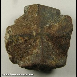 Mineral Specimen: Staurolite Twin variety Fairy Cross from Ruisseau de Kerbihan, Scaer, Finistere, Bretagne (Brittany), France Mineral Specimen: Staurolite Twin variety Fairy Cross from Ruisseau de Kerbihan, Scaer, Finistere, Bretagne (Brittany), France