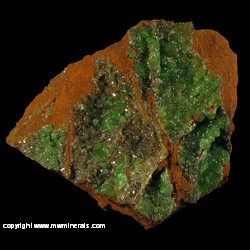 Mineral Specimen: Cuprian Adamite from Mina Ojuela, Mapimi, Durango, Mexico Mineral Specimen: Cuprian Adamite from Mina Ojuela, Mapimi, Durango, Mexico
