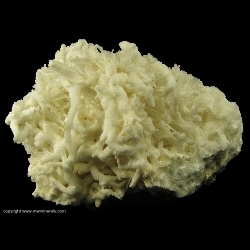 Minerals Specimen: Aragonite variety: Flos Ferri from Styrian Erzberg, Eisenerz, Styria, Austria