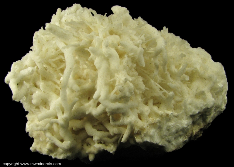 Mineral Specimen: Aragonite variety: Flos Ferri from Styrian Erzberg, Eisenerz, Styria, Austria
