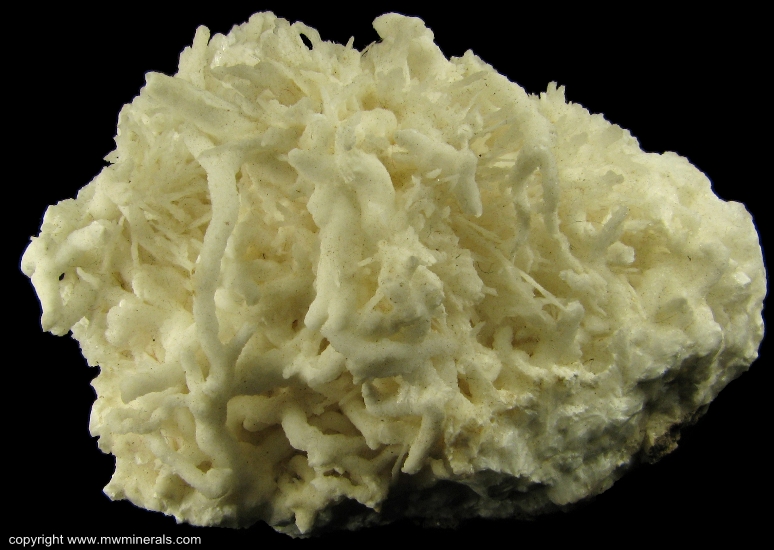 Mineral Specimen: Aragonite variety: Flos Ferri from Styrian Erzberg, Eisenerz, Styria, Austria