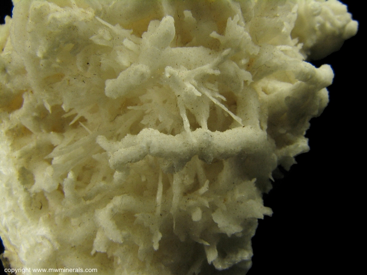 Mineral Specimen: Aragonite variety: Flos Ferri from Styrian Erzberg, Eisenerz, Styria, Austria