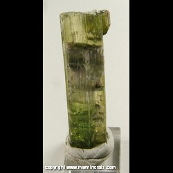 Mineral Specimen: Tourmaline from Pederneira Mine, Sao Jose da Safira, Minas Gerais, Brazil Mineral Specimen: Tourmaline from Pederneira Mine, Sao Jose da Safira, Minas Gerais, Brazil