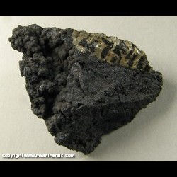 Minerals Specimen: Chalcophanite from Sterling Hill, Sussex co., New Jersey Minerals Specimen: Chalcophanite from Sterling Hill, Sussex co., New Jersey