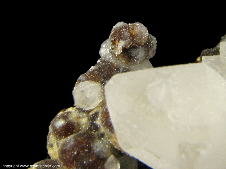 Mineral Specimen: Quartz on Andradite Garnet from El Mochito Mine, El Mocho, Santa Barbara Department, Honduras