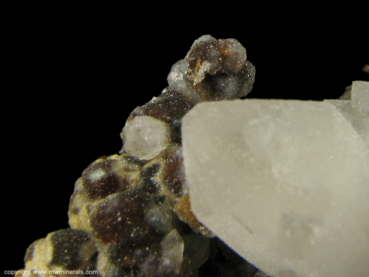 Mineral Specimen: Quartz on Andradite Garnet from El Mochito Mine, El Mocho, Santa Barbara Department, Honduras