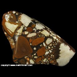 Mineral Specimen: Tennessee Pudding Stone from Eastern Tennessee Mineral Specimen: Tennessee Pudding Stone from Eastern Tennessee